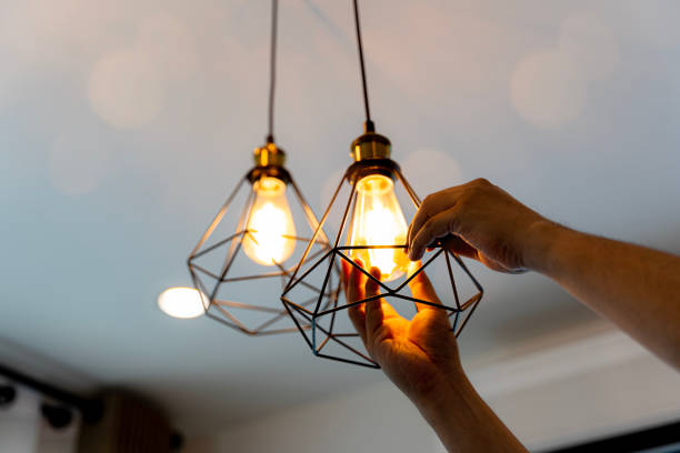 Best Residential Electrician Services  in Williamston, MI