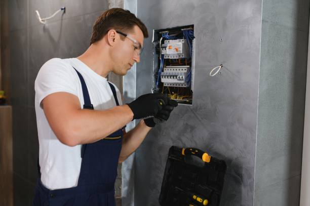 Best Ceiling Fan Installation Electrician  in Williamston, MI