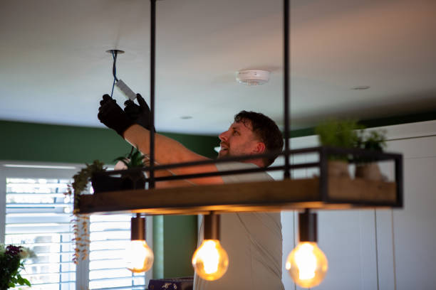 Best Electrical System Inspection  in Williamston, MI