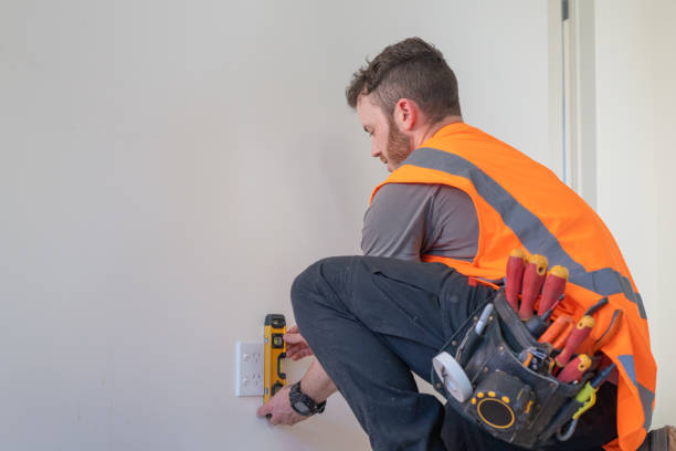Best Affordable Emergency Electrician  in Williamston, MI