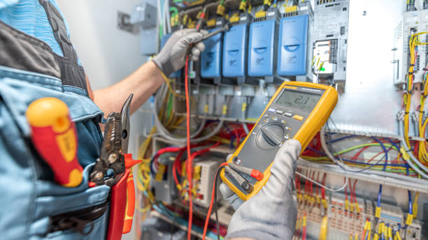 Best Electric Panel Repair  in Williamston, MI
