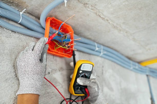 Best Electrical Troubleshooting Services  in Williamston, MI